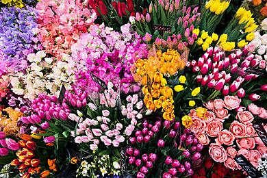 《半条命2》20周年庆典 发布海量修复并免费获取游戏